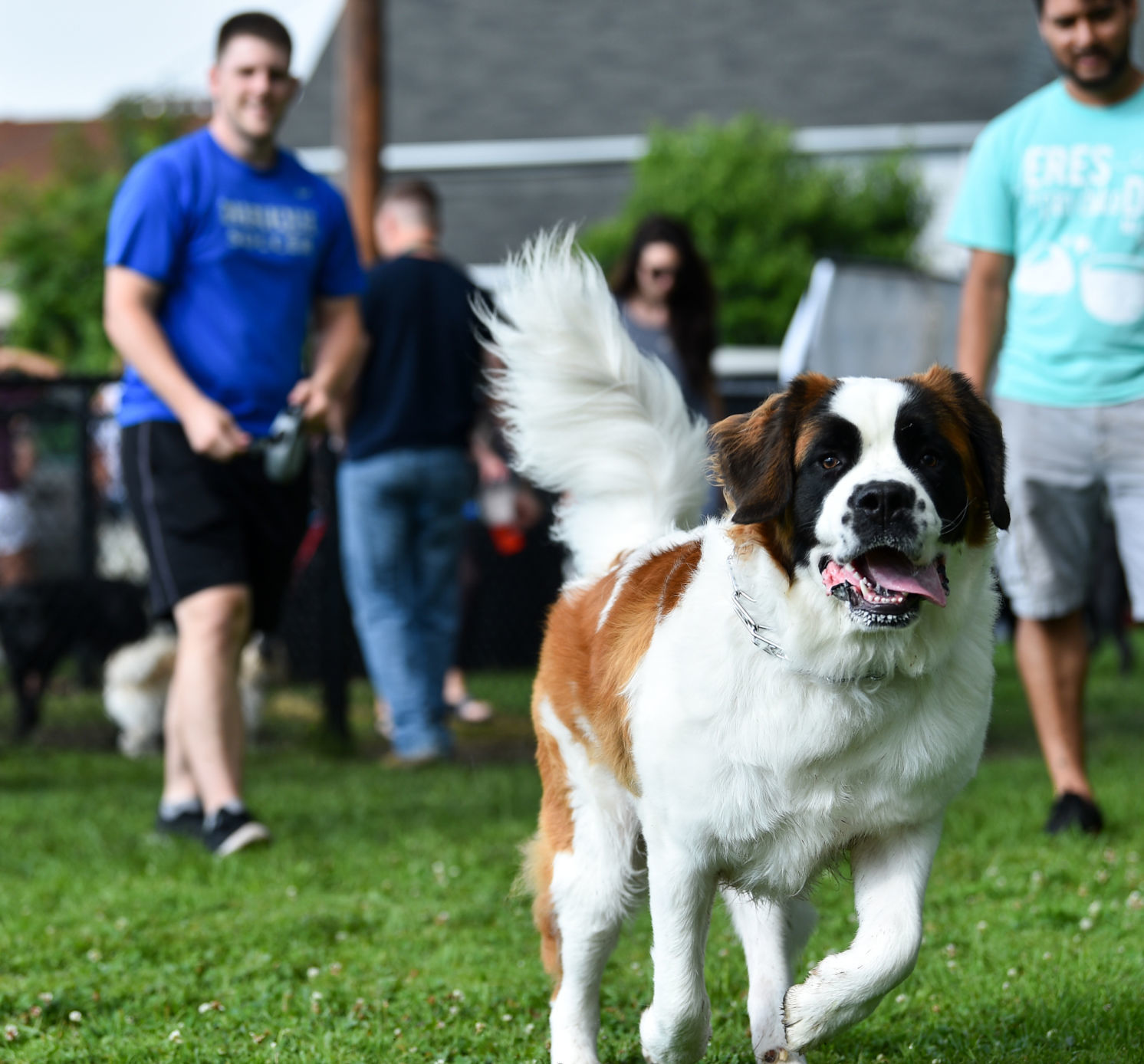 071019-mda-nws-dogpark-011a.JPG
